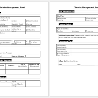 Diabetes Management Sheet