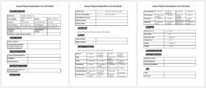 Annual Physical Examination Form (Detailed)