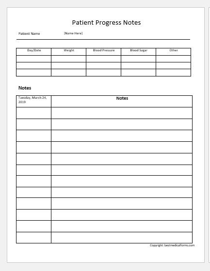 Patient Progress Notes Templates for MS Word | Download File