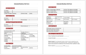 Antenatal Booking Visit Form