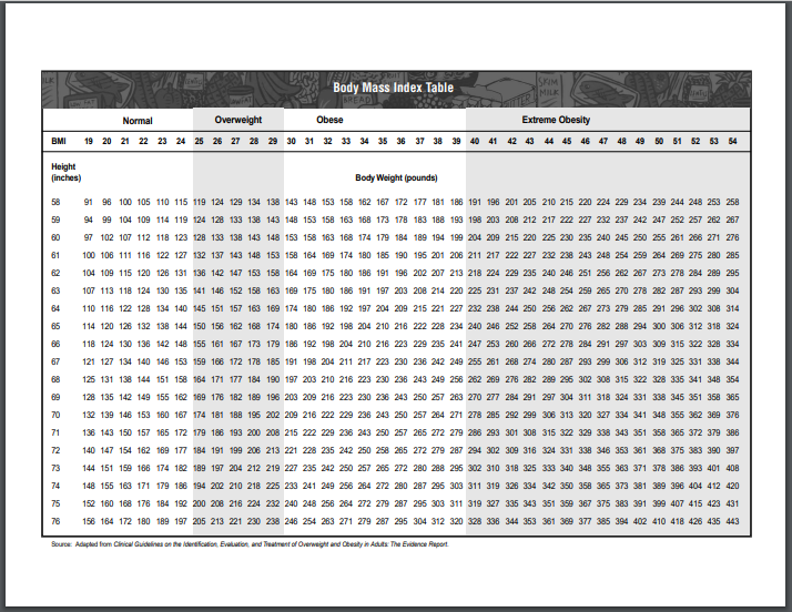 BMI Charts Doc PDF Printable Download Sample