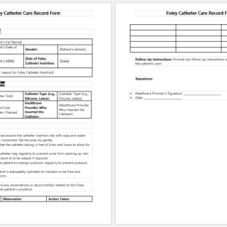 Foley Catheter Care Record Form