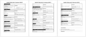 Hamilton Rating Scale for Depression (HAM-D)