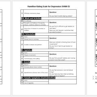 Hamilton Rating Scale for Depression (HAM-D)