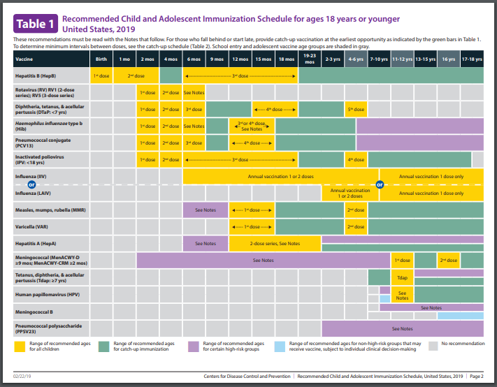 Immunization Charts USA All Ages | Download Sample