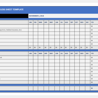 Healthcare profit and loss sheet template