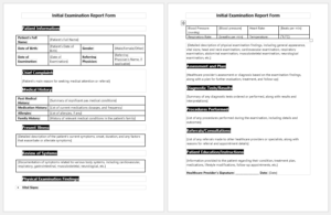 Initial Examination Report Form