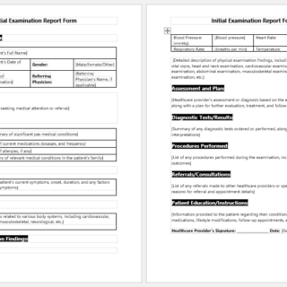 Initial Examination Report Form