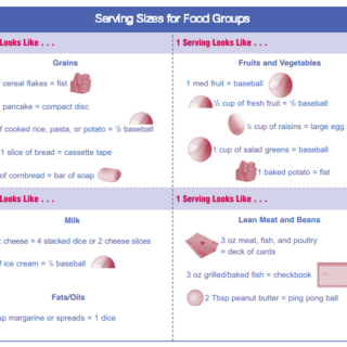 Wallet size portion guide