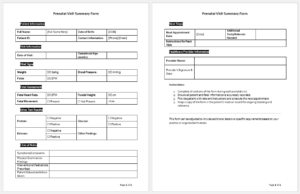 Prenatal Visit Summary Form