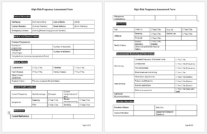 High-Risk Pregnancy Assessment Form