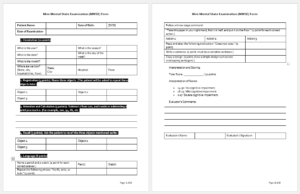 Mini-Mental State Examination (MMSE) Form